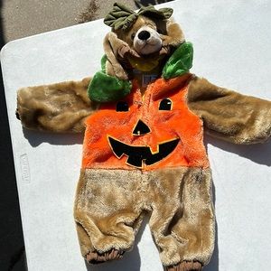Teddy bear pumpkin Infant costume